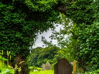 Caherelly Graveyard, County Limerick